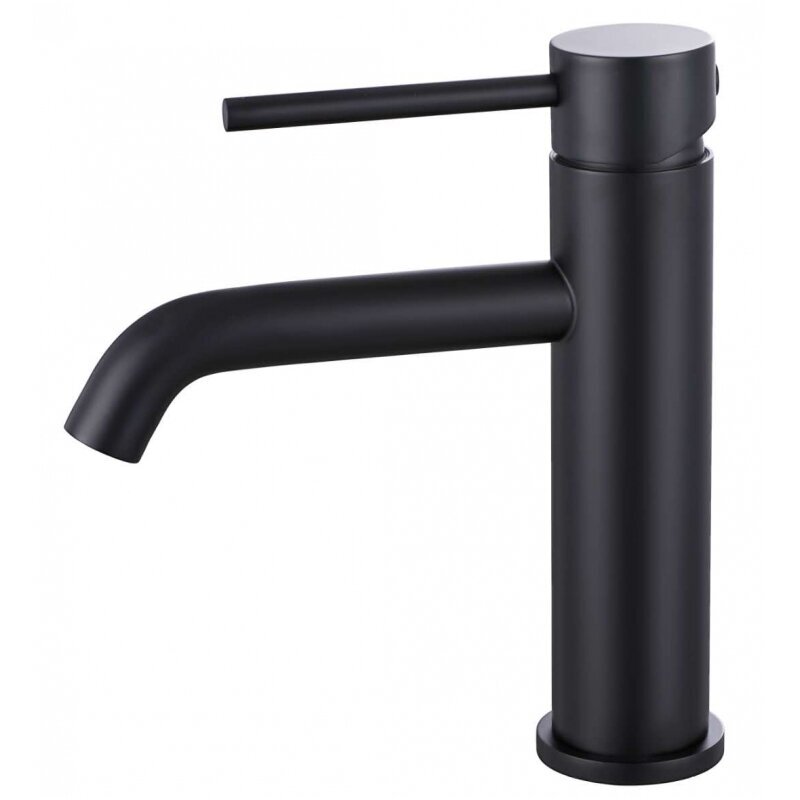 Braižyto plieno praustuvo maišytuvas, basin mixer Cherry, brushed steel 2