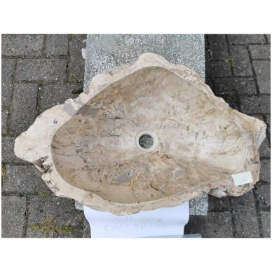 Fosilijos praustuvas , suakmenėjęs medis  H15 W40 L60cm 1