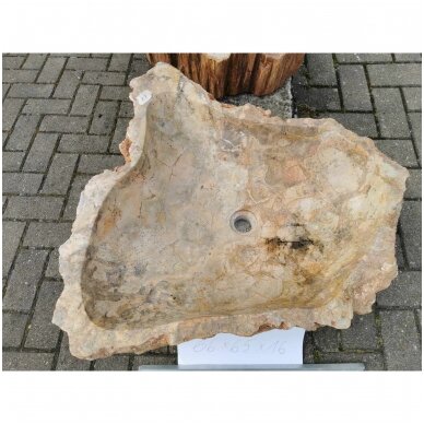 Fosilijos praustuvas , uoliena  H16 W65 L66cm 1