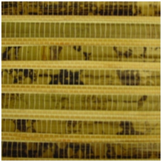 Natūralaus pluošto tapetai DT021-501