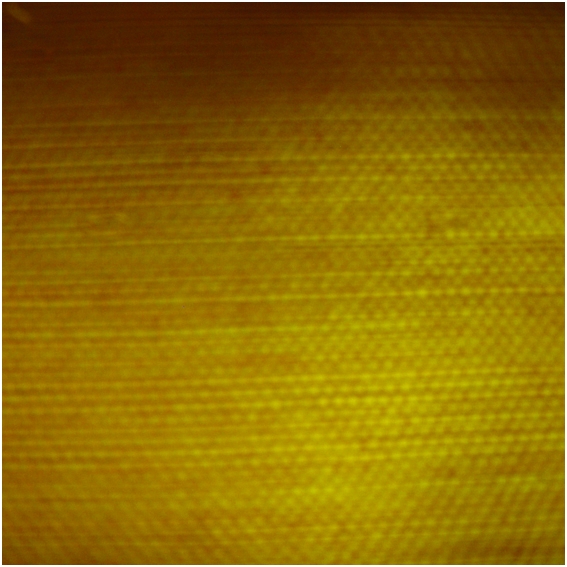 Natūralaus pluošto tapetai DP08-1012